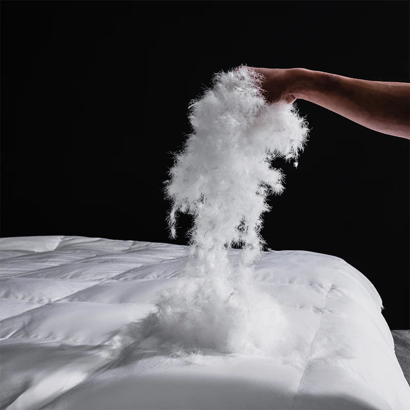 Couette Prestige 2-en-1 — Duvet d’Oie 95% & Soie Mulberry Pure « Or Doux »